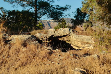 cawe in the mountain 