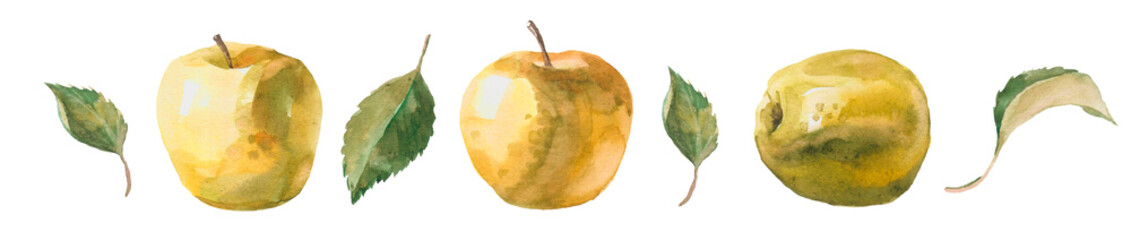 Watercolor hand drawn set of apples with leaves. Isolated eco natural food fruit illustration on white background