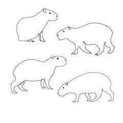 One line hand drawn capybara set. Vector minimalist illustration isolated on white background. 