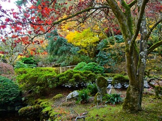 Bright deep vibrant autumn colors in the park