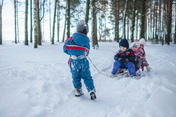 Fototapeta na wymiar Happy friends have fun in wonderland, little boy pulls a sledge with sister and brother across snow-covered winter forest, outdoor family weekend at snowing day