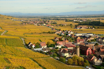Fototapeta na wymiar Vue sur Kaysersberg (Alsace) et son vignoble en automne