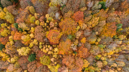 Wald von oben, Herbstfarben, Herbstwald, Herbststimmung, Bäume von oben, Wald, Herbst