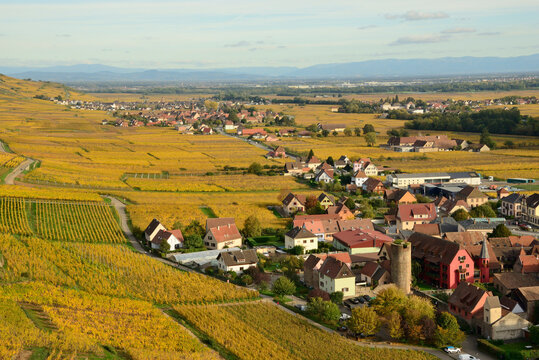 Vue sur Kaysersberg (Alsace) et son vignoble en automne