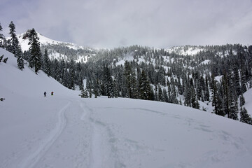 Ski and Snowshoe Trails in Lassen National Park, Californai