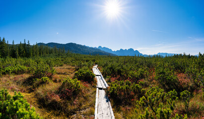 Bohlenweg, Steg, Holzweg, Löckermoos, Löckernmoos, Moor, Hochmoor, Dachstein, Gosau, Österreich,...