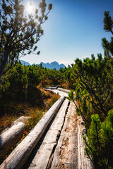 Bohlenweg, Steg, Holzweg, Löckermoos, Löckernmoos, Moor, Hochmoor, Dachstein, Gosau, Österreich,...