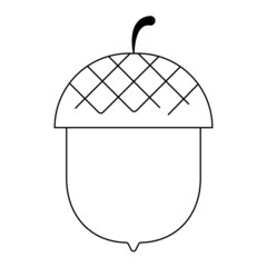 Acorn Nut oak seed Vector. Black and white. White background. Line drawing.