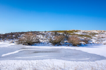 Snowy and ice winter landscape at the Amsterdamse Waterleidingduinen