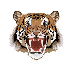 Tiger head vector illustration. Symbol of the new year 2022
