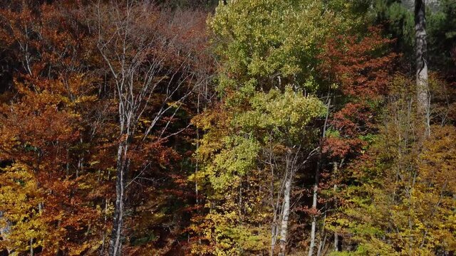 Fisherman's hut on the lake in the autumn forest. Bright foliage and smooth water surface. A cozy quiet place for meditation. The nature of the Crimea.