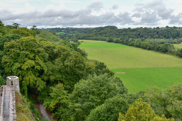 landscape with trees