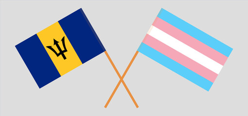 Crossed flags of Barbados and transgender pride. Official colors. Correct proportion