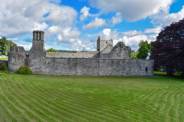 Fototapeta na wymiar Ruins of Boyle Abbey