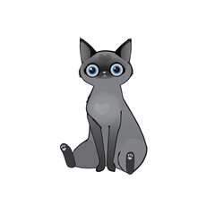 cute black grey cat sitting
