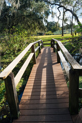 Landscape of Hillsborough river at Tampa, Florida	
