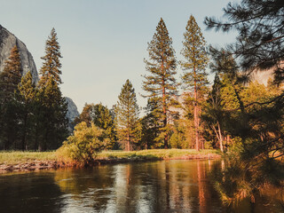 Yosemite national park 