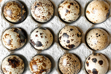 beautiful spotted quail eggs in cardboard packaging