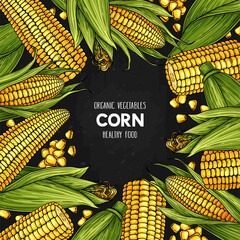 Vector hand drawn frame with ripe corn cobs © Anastasiya Stoma