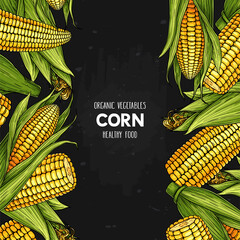 Vector hand drawn frame with organic corn cobs on dark background