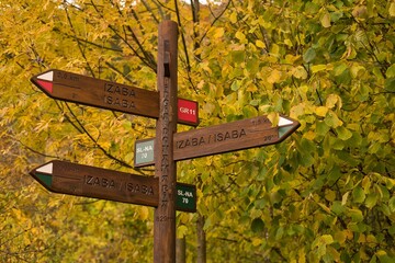 Signposted paths in the forest