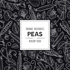 Vector chalkboard banner with pea. Organic legumes plant drawing with pods, beans, flowers,