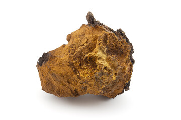 Piece of birch mushroom isolated on white background. Chaga or Inonotus obliquus is birch parasitic fungus. Alternative medicine concept. Used to prepare infusions as a substitute for tea or coffee