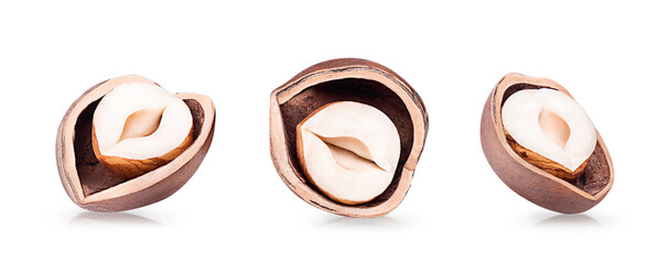 Hazelnuts isolated on white background. Collection of three cracked halves of filbert nuts