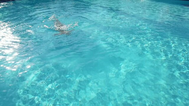 Active young woman diving in pool and splashing water. Lady relaxing on tropical resort.