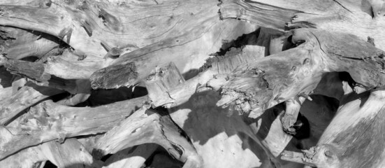 Patterns on beached driftwood in Black and White