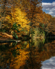 Magical lake "Tresnja" in its autumn glory, near Belgrade, Serbia