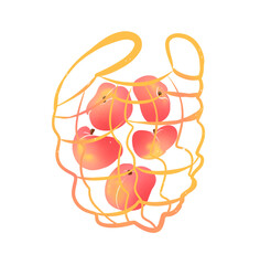 delicious peaches. Will be good to use for greeting cards, postcards, stickers and in advertising/