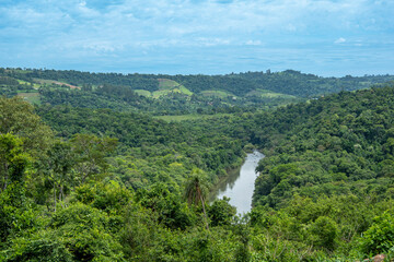 Arroyo en la Selva Misionera