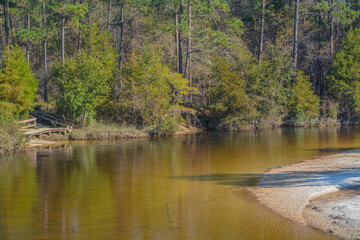 Fototapeta na wymiar Blackwater River running through the forest of Milton, Santa Clara County, Florida
