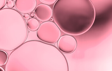 Abstract  water and oil droplets to creating circle and bubble shape on pink greadient background.
