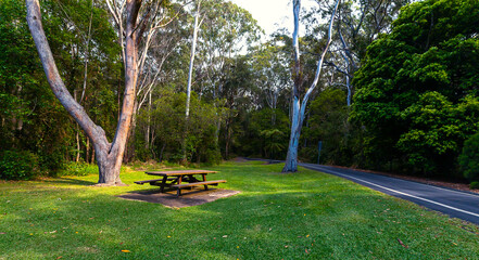 A delightful spot for a picnic is created by the location of this wooden picnic table surrounded  bright green grass set in a shady environment to enjoy the Australian bush land surrounds.
