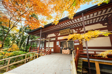 日本のお寺　紅葉の中尊寺不動堂