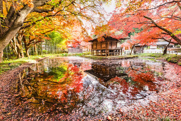 日本のお寺　中尊寺紅葉と水鏡の弁財天堂