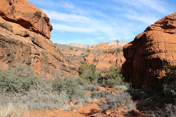 Hidden Pinyon landscape, Snow Canyon State Park, Utah