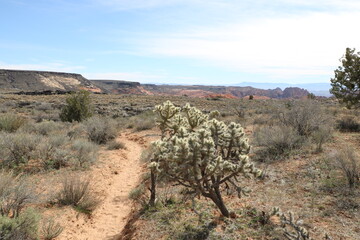 White Rocks Trail, Snow Canyon State Park, Utah