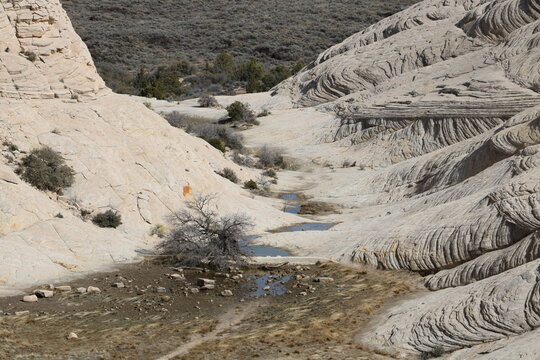 Standing Rainwater In The White Rocks Amphitheater, Snow Canyon State Park, Utah