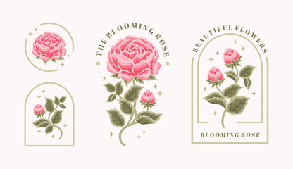 Set of vintage feminine beauty rose floral logo elements with frame
