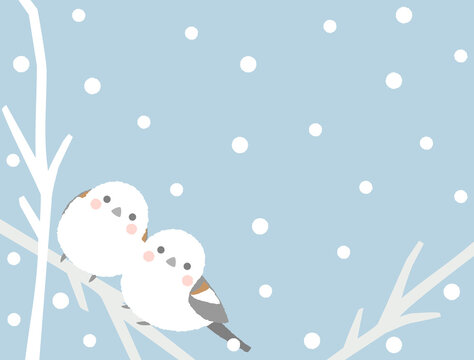 シマエナガ Images Browse 1 062 Stock Photos Vectors And Video Adobe Stock