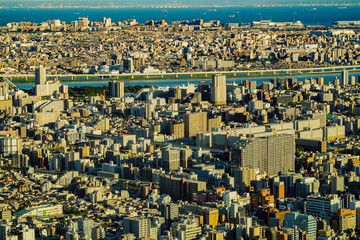 Obraz na płótnie Canvas 荒川と東京の街並み