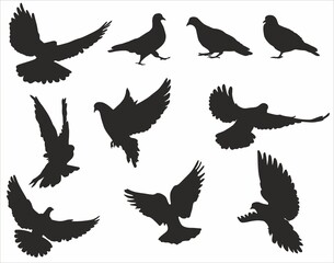 Vector set of silhouettes of doves. Flying, sitting, walking birds. Shadows of urban birds
