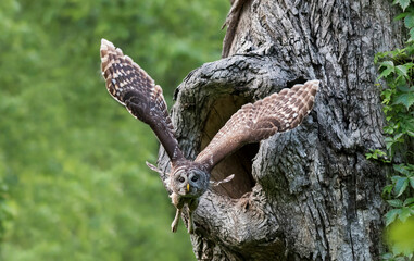 It is Hunting Time Again
