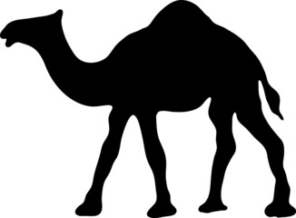 vector camel icon. camel sign on white background..eps