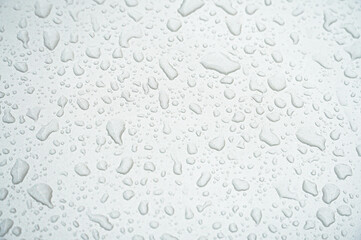Water droplets on a gray background
