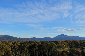 Fototapeta premium 日本・秩父の風景