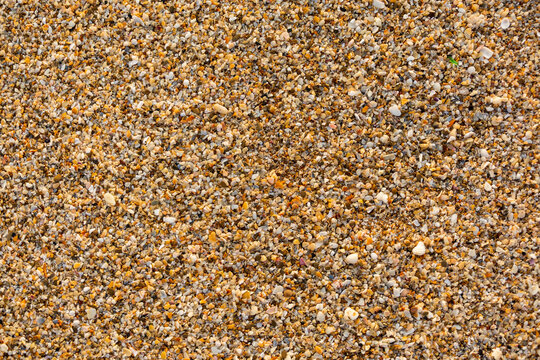 stone and sand shells scattered on the beach of chabahar, baluchistan province, iran